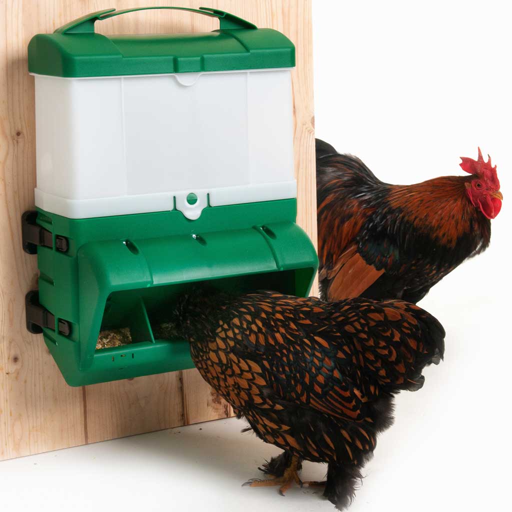ontrouw Een evenement Antipoison anti-ongedierte-kippen-voerbak-wise-10kg-groen - Kippenziekten.nl