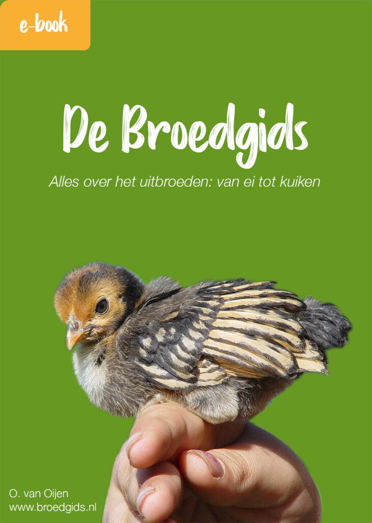 broedgids cover e-book